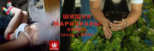 прущие грибы Абинск