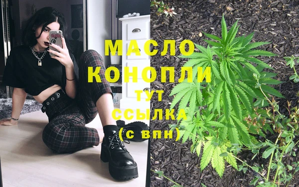 прущие грибы Абинск