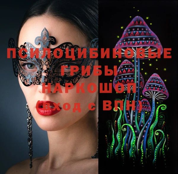 прущие грибы Абинск