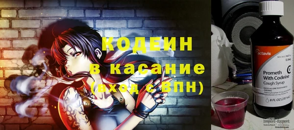 прущие грибы Абинск