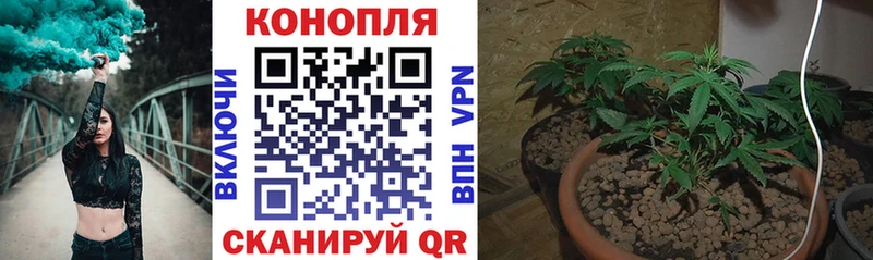 Бошки марихуана ГИДРОПОН  наркота  Красноармейск 